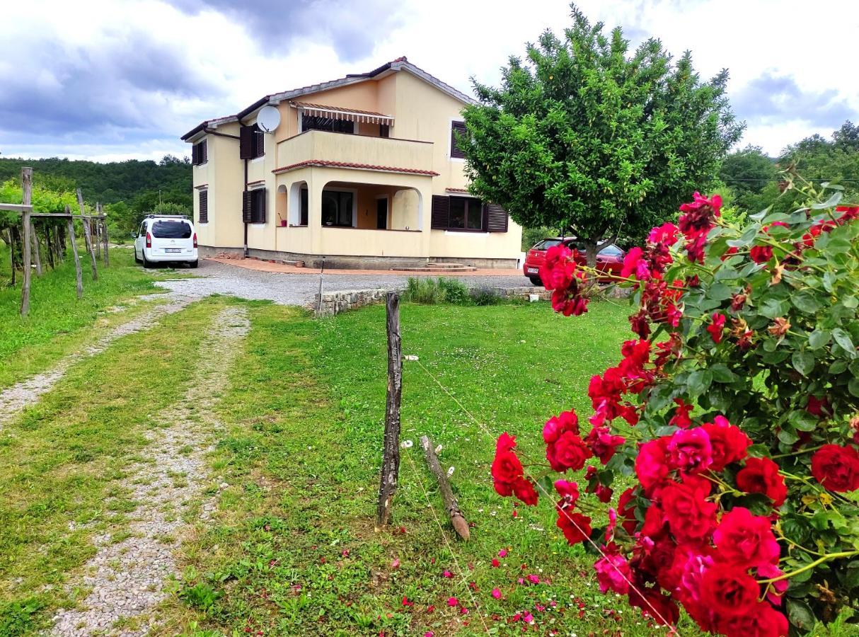 Melia Apartment *